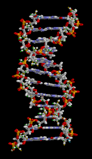 Genetic counseling